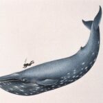 Blue Whale