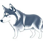 alaskan husky symbolism and meaning