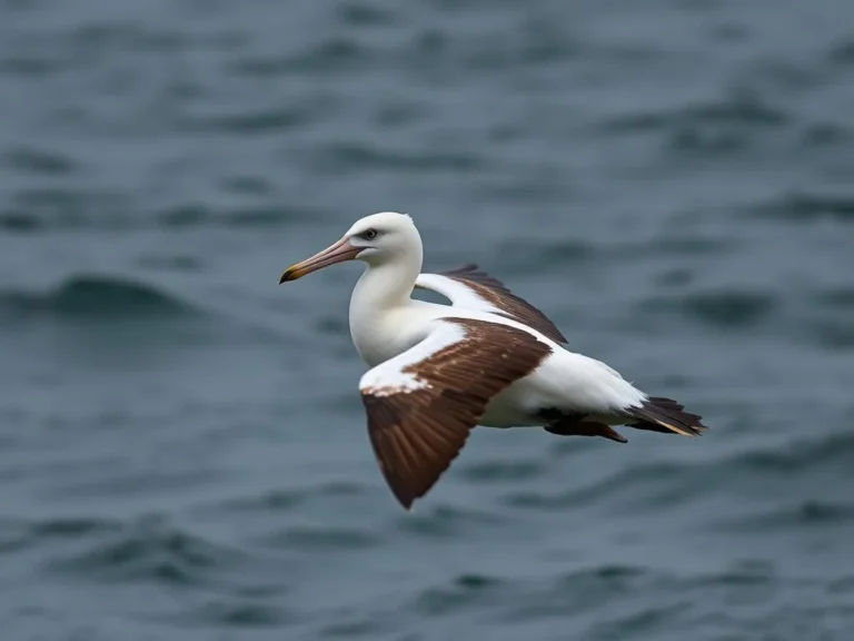 The Albatross: A Deep Dive into Its Symbolism and Significance