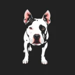 american pit bull terrier symbolism and meaning