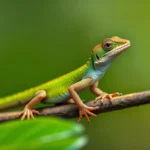 anole lizard symbolism and meaning