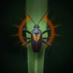 assassin bug symbolism and meaning