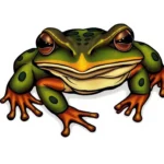 bullfrog symbolism and meaning