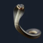 coachwhip snake symbolism and meaning