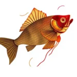 drum fish symbolism and meaning