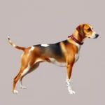 english foxhound symbolism and meaning