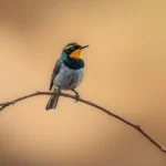 flycatcher symbolism and meaning