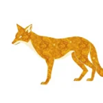 golden jackal symbolism and meaning