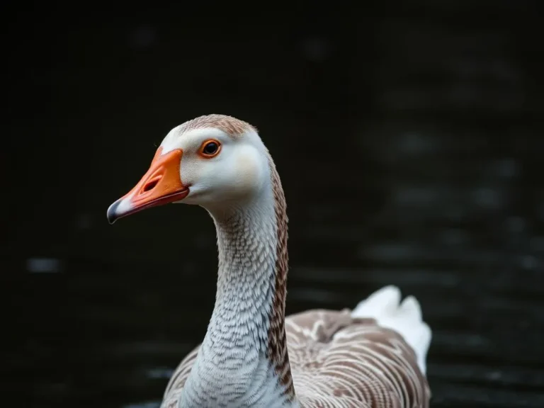 The Profound Symbolism of Geese: Nature’s Messengers