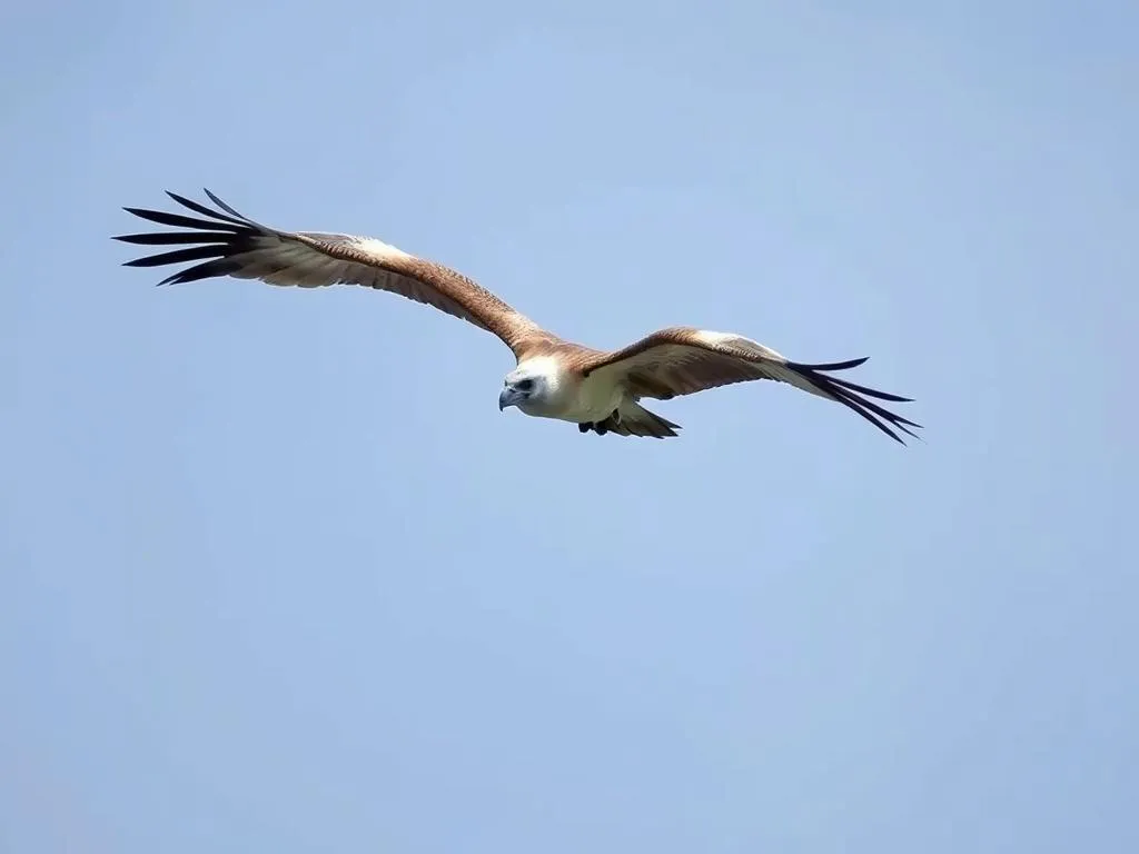 griffon vulture symbolism and meaning