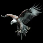 harpy eagle symbolism and meaning