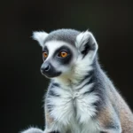 lemur symbolism and meaning