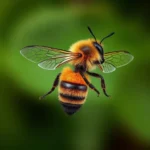 mason bee symbolism and meaning