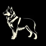 norwegian buhund symbolism and meaning