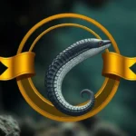 ribbon eel symbolism and meaning