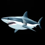 shortfin mako shark symbolism and meaning