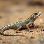 skink lizard symbolism and meaning