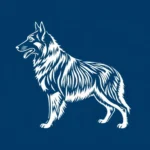 swedish elkhound symbolism and meaning