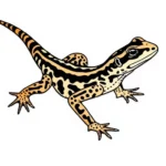 whiptail lizard symbolism and meaning