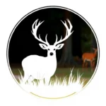 white tail deer symbolism and meaning